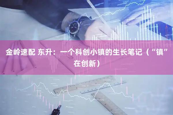 金岭速配 东升：一个科创小镇的生长笔记（“镇”在创新）