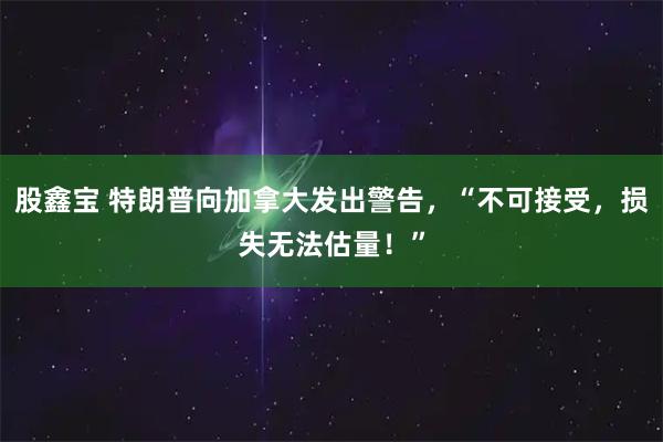 股鑫宝 特朗普向加拿大发出警告,“不可接受,损失无法估量!”